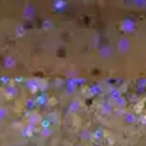 Keitech Crazy Flapper 462T Electric Smoke Craw