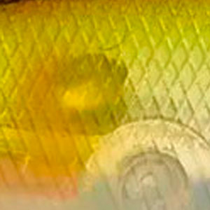 Воблер Jackall Squad Minnow 80SP 82mm 9.7g Ghost Ayu