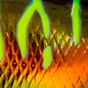 Воблер Jackall Chubby 38 SSR 38mm 4.2g Tiger Belly