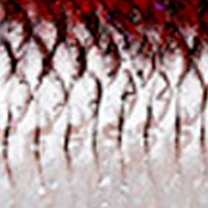 3D River Roach Smelt